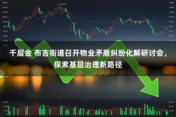 千层金 布吉街道召开物业矛盾纠纷化解研讨会，探索基层治理新路径