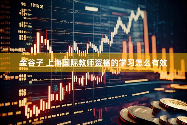 金谷子 上海国际教师资格的学习怎么有效