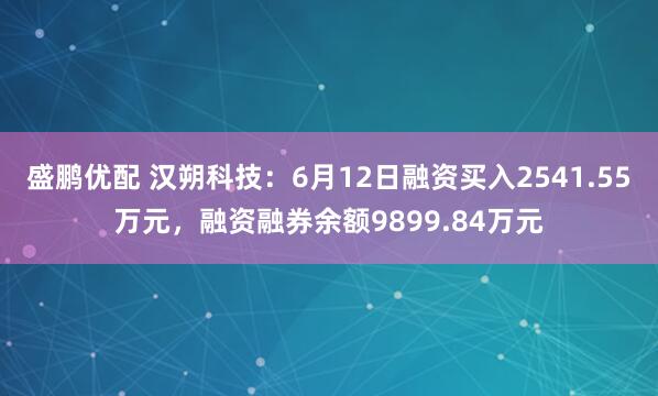 盛鹏优配 汉朔科技：6月12日融资买入2541.55万元，融资融券余额9899.84万元
