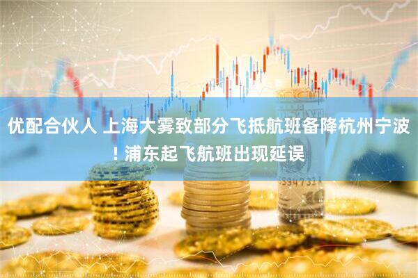 优配合伙人 上海大雾致部分飞抵航班备降杭州宁波! 浦东起飞航班出现延误
