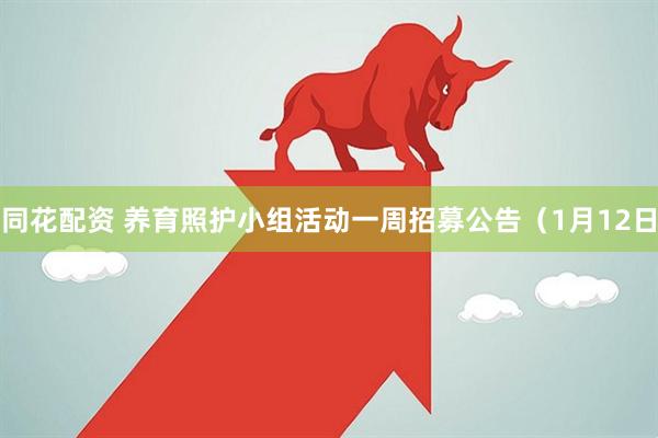 同花配资 养育照护小组活动一周招募公告（1月12日