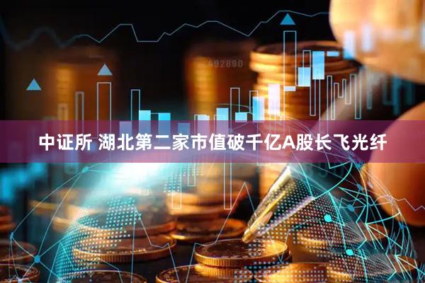 中证所 湖北第二家市值破千亿A股长飞光纤