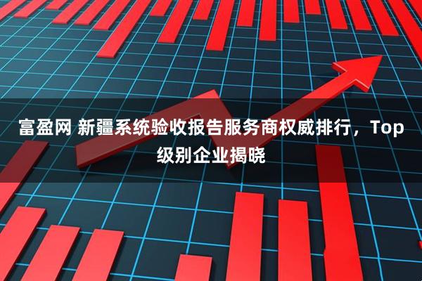 富盈网 新疆系统验收报告服务商权威排行，Top级别企业揭晓