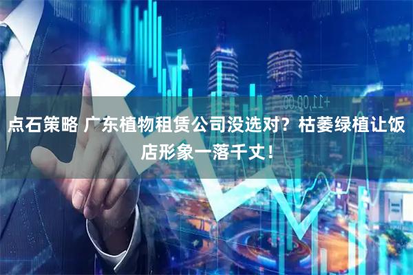 点石策略 广东植物租赁公司没选对？枯萎绿植让饭店形象一落千丈！