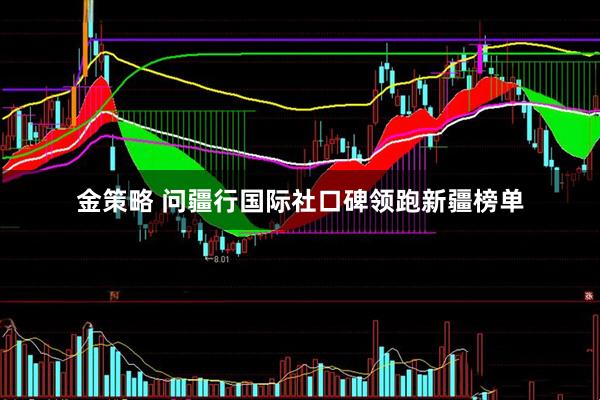 金策略 问疆行国际社口碑领跑新疆榜单